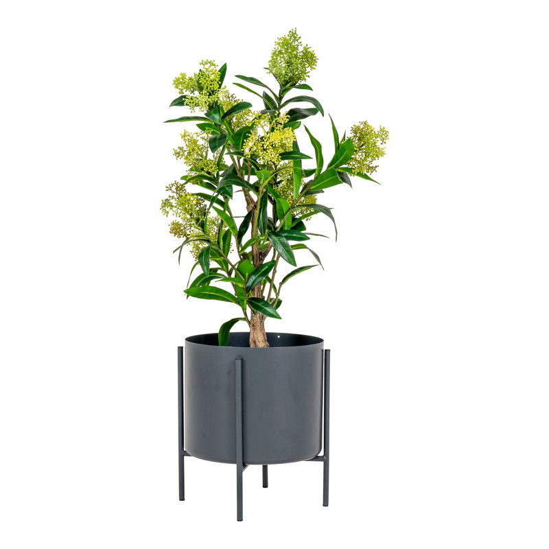 75cm Faux Skimmia Tree