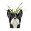 Pencil Pot - Dog - French Bulldog