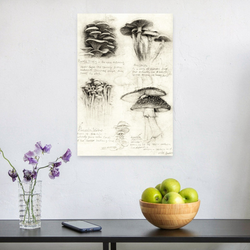 Various Botanical Mushrooms Organic Contemporary Forest Nature Wall Art Print, 60.96cm H x 40.64cm W