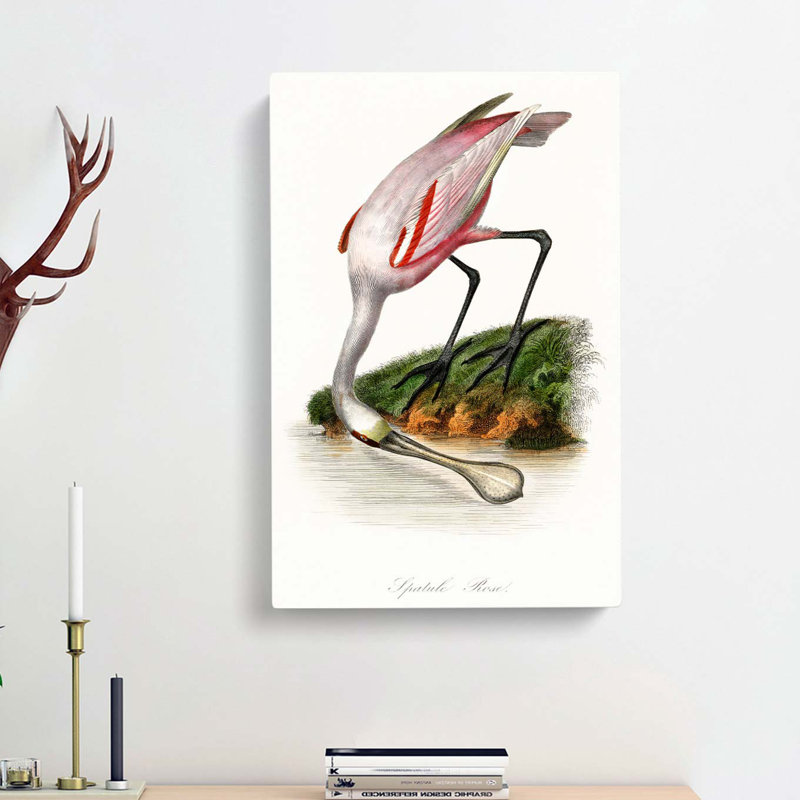 Roseate Spoonbill Bird - Wrapped Canvas, 50cm H x 35cm W x 3cm D