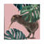 Kiwi oiseau avec monstera art-49839998-49839991