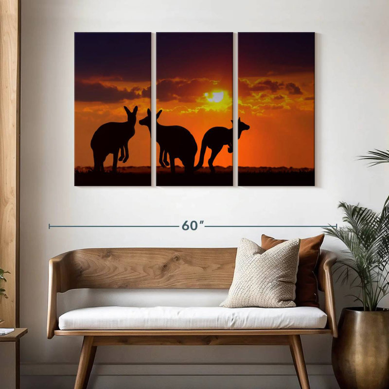 Safari kangourous au coucher du soleil