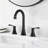 Widespread 2- Handle Bathroom Faucet with Metal Pop Up Drain-45127781