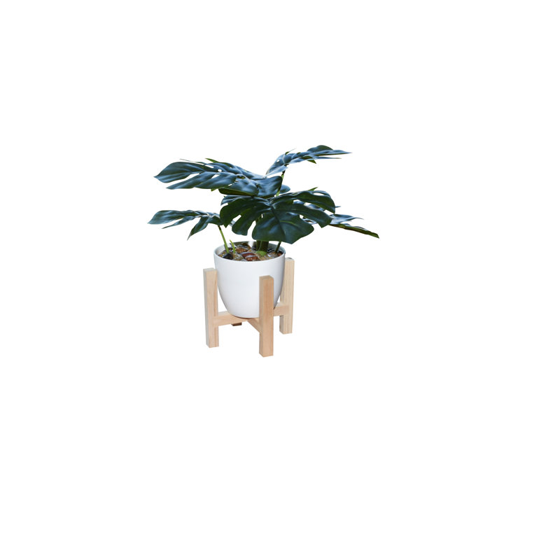 Plantes à feuilles 10 "avec support en bois Denny Monstera