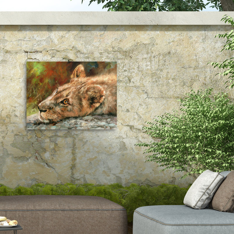 Ourson David griffonnant allongé sur une toile d'extérieur, H 14 po x l 19 po