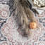 Machine Washable Beige Area Rug-1525244271