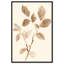 Sépia brins II, reproduction d'art sur toile, Art naturel par Art Remedy-118192864-118192865