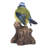 Motion Activated Singing Bird Tit on Stump