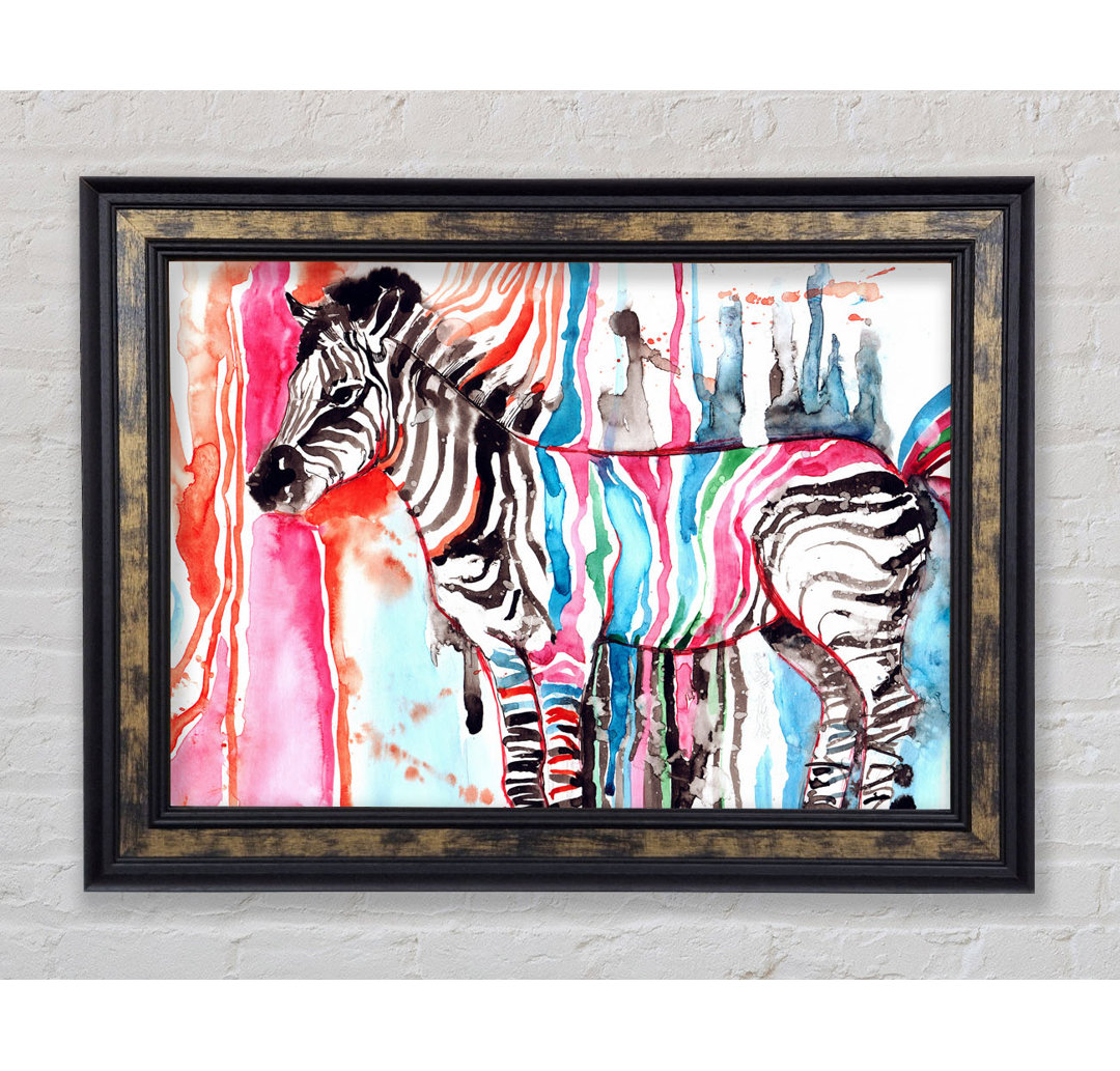 Funky Zebra - Druck