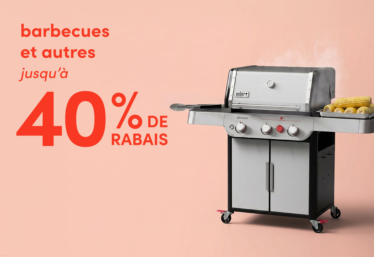 barbecues et autres en solde