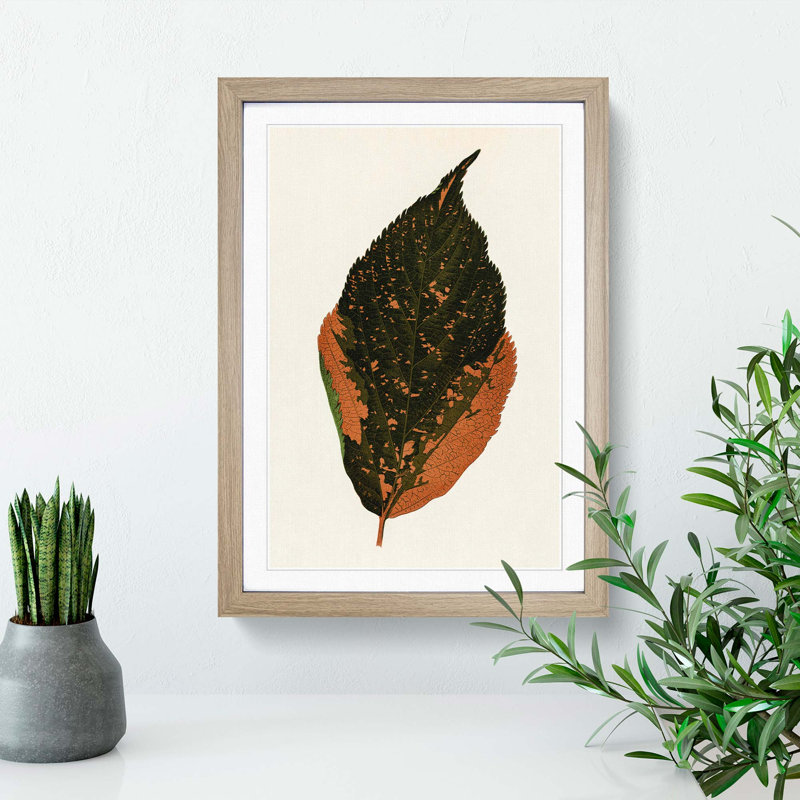 Autumn Leaf by Benjamin Fawcett - Picture Frame Painting Print, 48cm H x 36cm W x 2cm D, Oak Framed