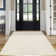 Modern Abstract Area Rugs for Living Room Soft Low-Pile Carpet Washable Rugs Indoor Foldable Printed Textured Floor Carpet Non Slip Mat Rug for Office Dining Room