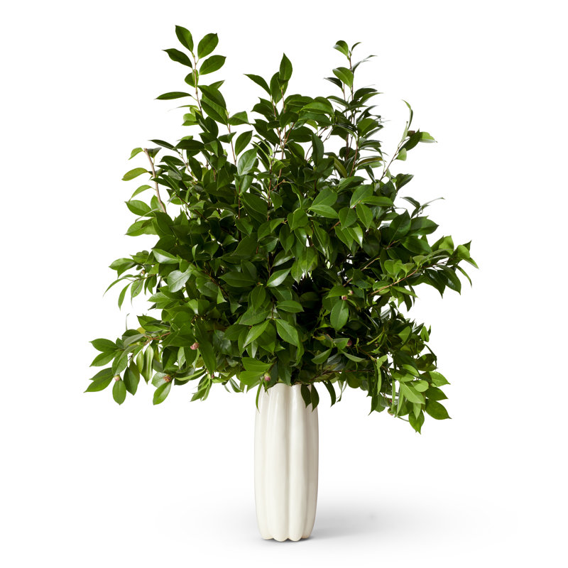 Vase de table en céramique 16 po crème Mirabelle