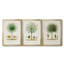 Arbre antique avec fruit VII - Toile tendue avec châssis sur mesure - 3 pièces-493658321-493658350