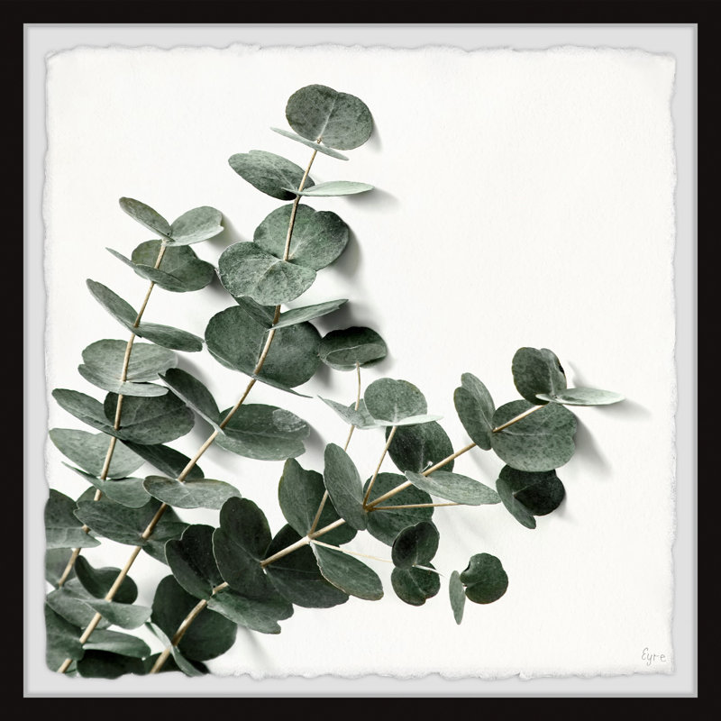 Jalexy Eucalyptus Bloom by Eyre Tarney - Single Picture Frame Painting Set
