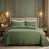 Vert olive est en rupture de stock