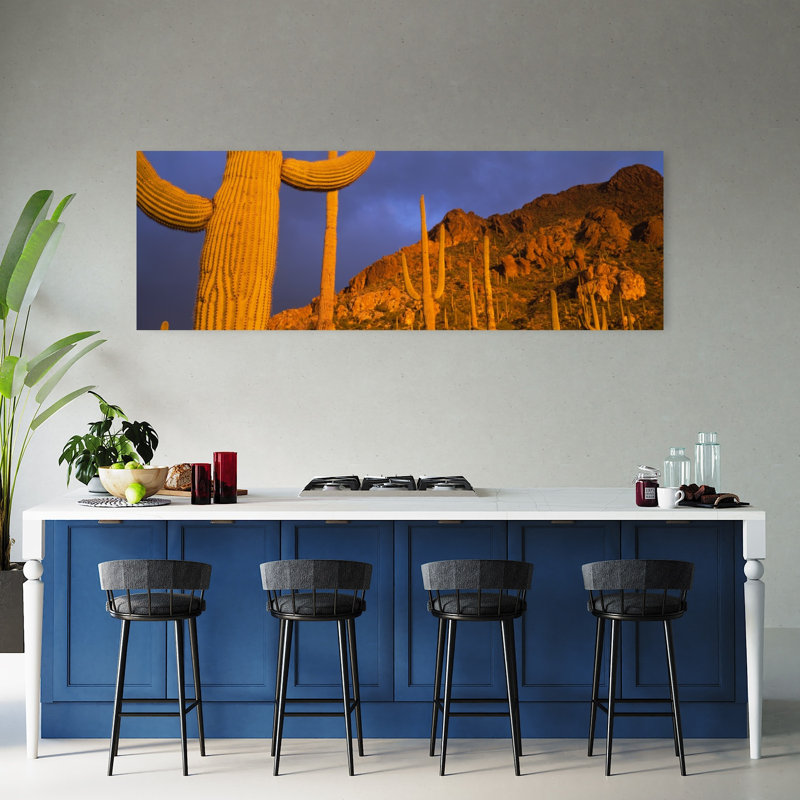 Cactus Saguaro, Tucson, Arizona, États-Unis, H 60 po x l 20 po