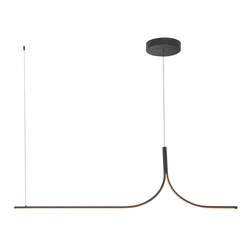 Luminaire suspendu fil 5 pi, Une lumière, H 138,63 po x l 59,13 po x P 1,25 po