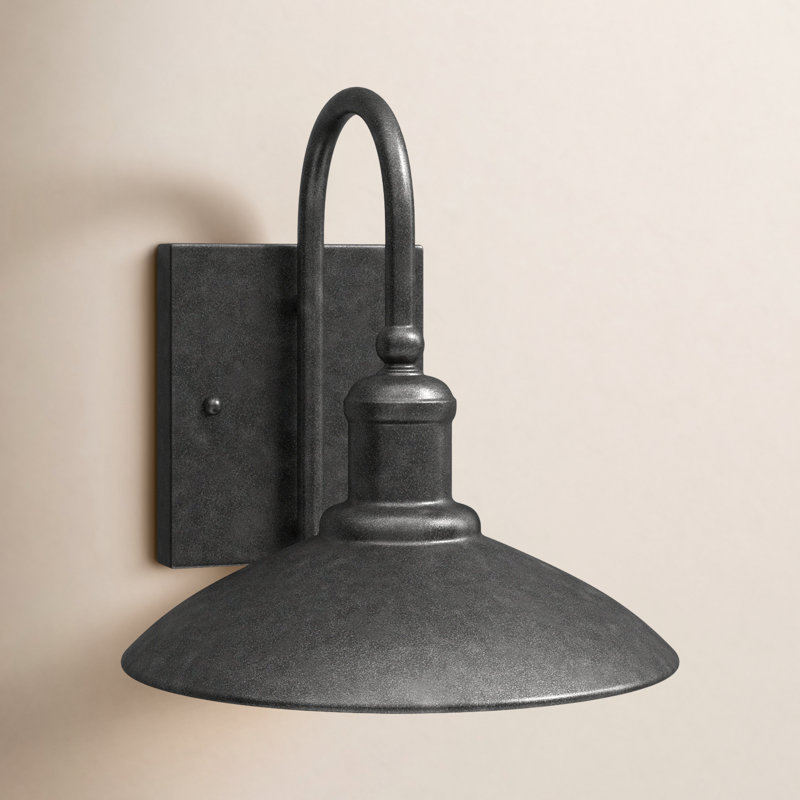 Luminaire de grange d'extérieur Bladenboro Bismarck, H 11 po x l 11 po x P 11 po