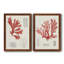 Coral Study III - Ensemble de 2 reproductions de cadres photo-1936258020-1936258016