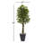 6.5ft. Ficus Artificial Tree with Slate Planter, UV Resistant (Indoor/Outdoor)