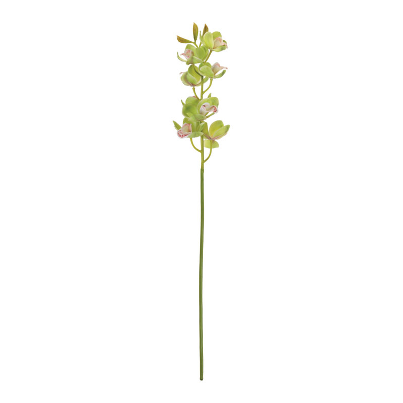 Tige de fleur d'orchidée cymbidium (ensemble de 2)