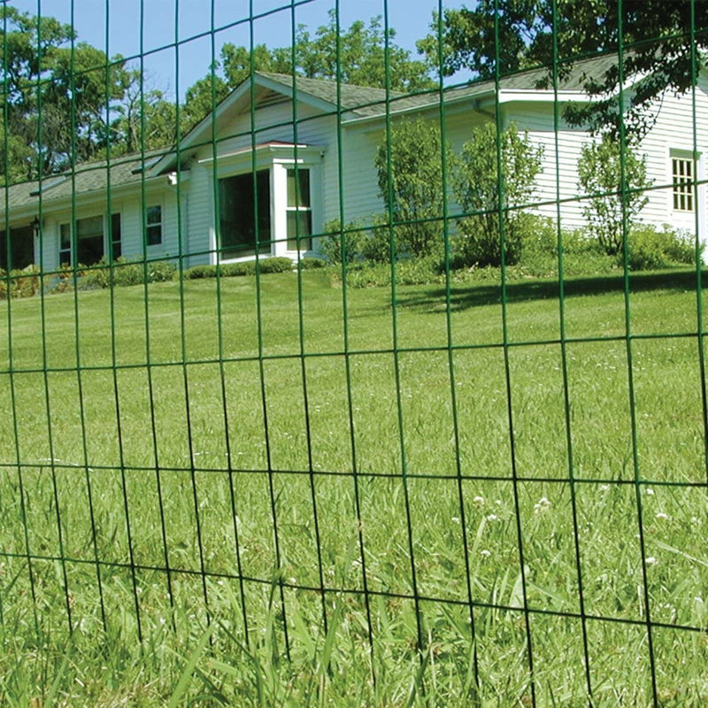 25 Ft. H x 24 Ft. W Border Fencing