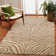 Afner Hand Tufted Animal Print Indoor / Outdoor Rug