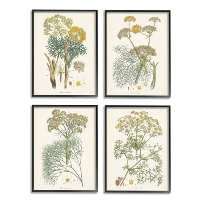 " Vintage Saffron Study With Floral Herbs " 4 - Pieces
