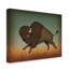 « buffalo bison ii », art sur toile-31880236