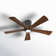 Irene 5 - Blade LED Ceiling Fan with Light Kit Included