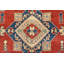 Wool Oriental Indoor Rug