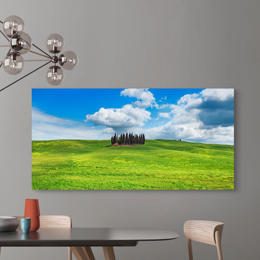 Leinwandbild - Fotografie „Cypresses, Val d'Orcia, Tuscany” von Frank Krahmer