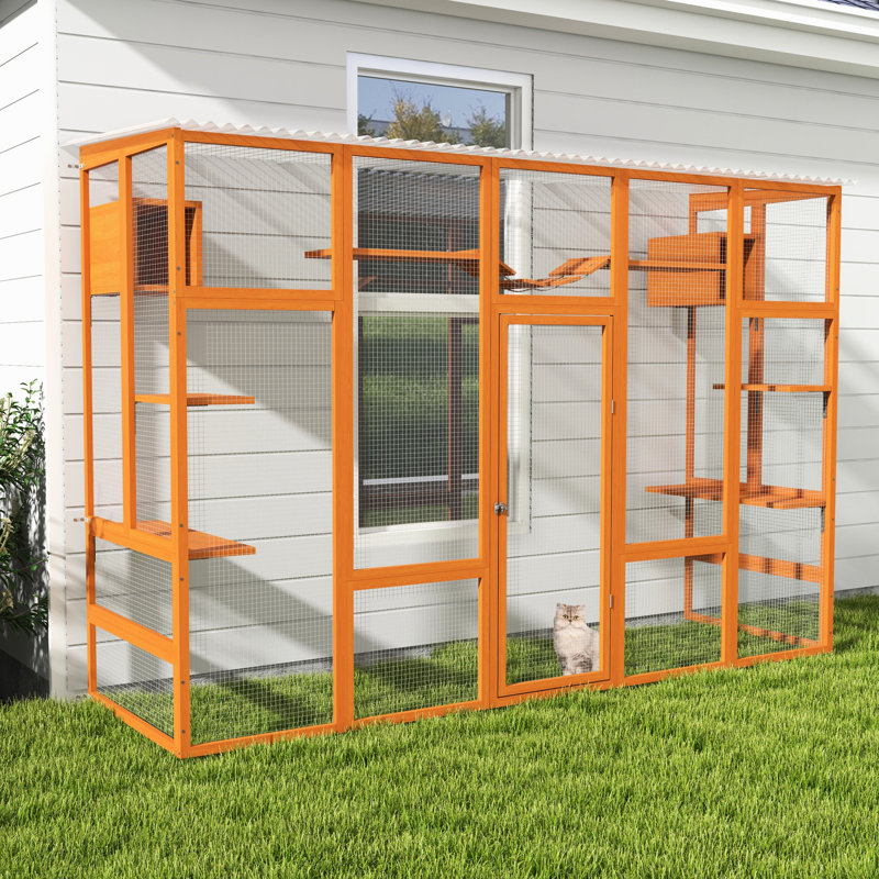 Parc pour chat Orange, Naturel