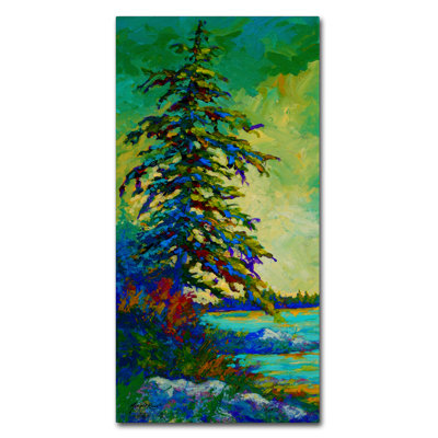 «West Coast Sentinel» par Kucera, reproduction d'art sur toile tendue