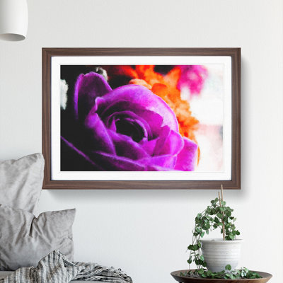 Purple Rose Flower Vol.5 - Framed Print