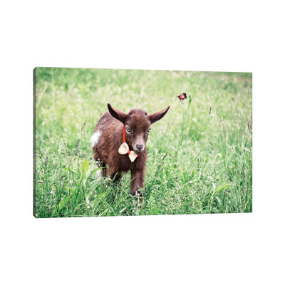 Dwarf Goat Bow Tie by Karen Burke - Print on Canvas