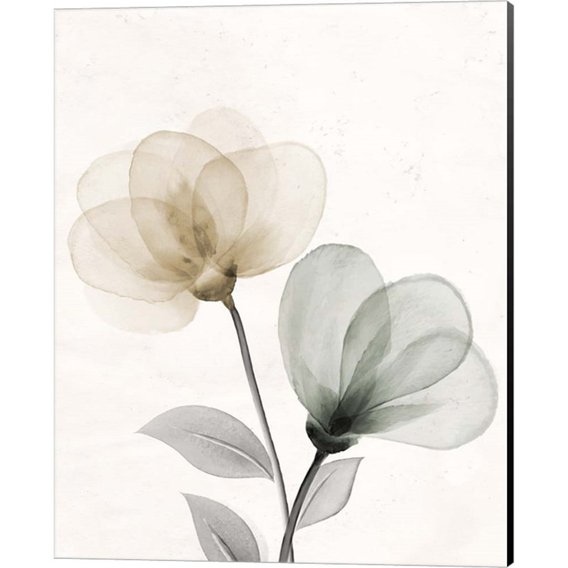 «Open Bloom 1» par Kimberly Allen, impression sur toile tendue