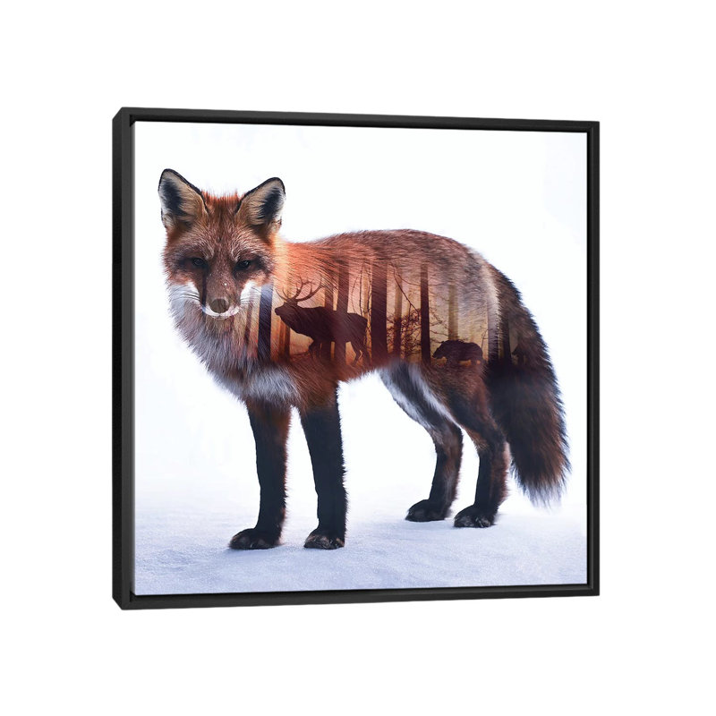 Fox I by Paul Haag - Print on Canvas, Black Framed, 45.72 cm H x 45.72 cm W
