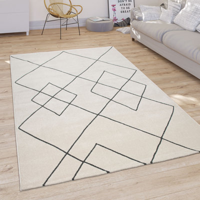 Hinesburg Moroccan Area Rug