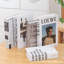 Élégant décor de faux livre pour des décors intérieurs élégants