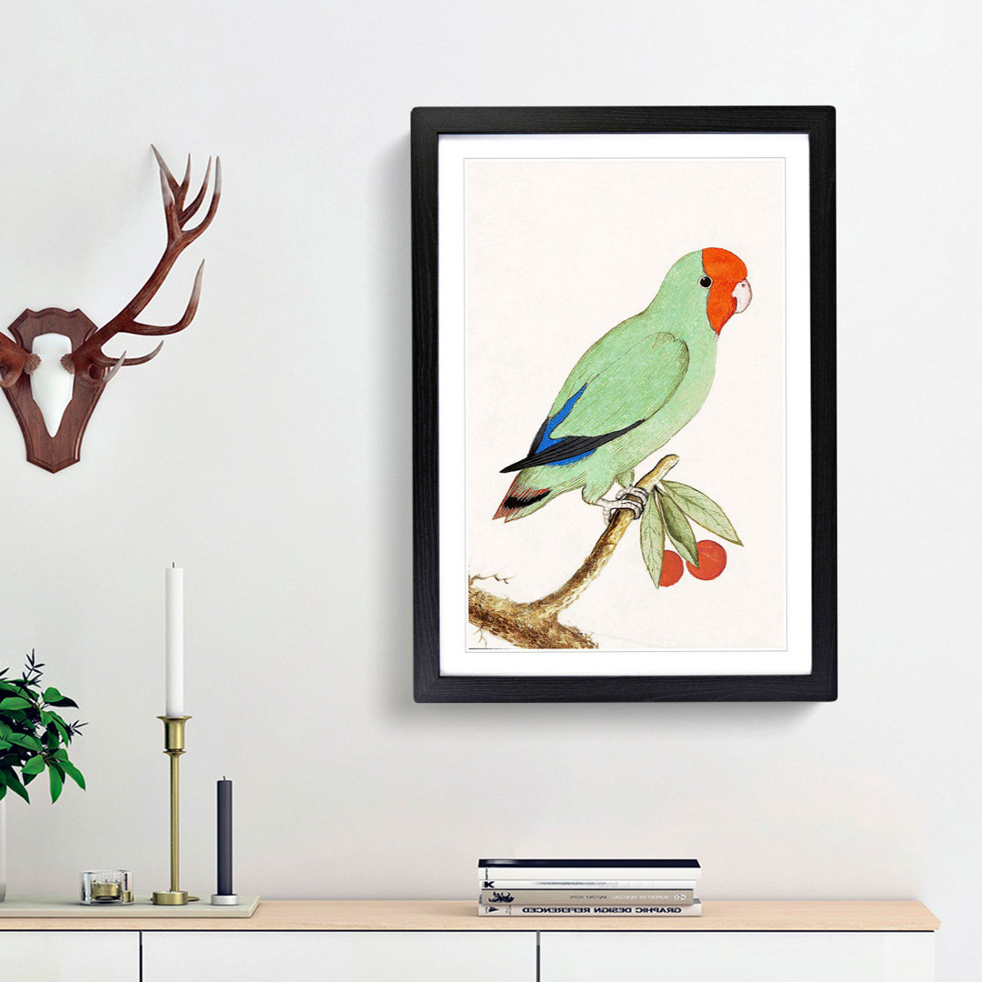 Lovebird by A.B. de Boodt - Framed Print