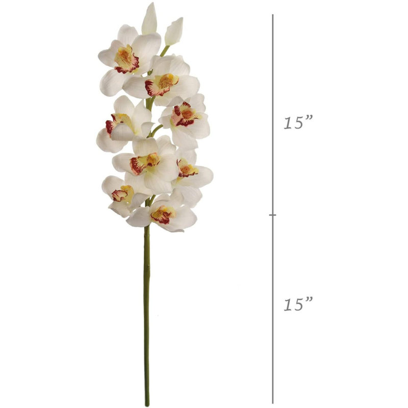 Tige en cymbidium de 30 po de hauteur avec 10 fleurs, Crème, 6