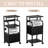 Mobile Printer Stand, 4-Tier File Rack With Lockable Casters,Wooden File Cabinet With Shelves,File Organizer Shelf Filing Cabinet W/Iron Pipe For Home, Office, Dorm, Living Room-110334758