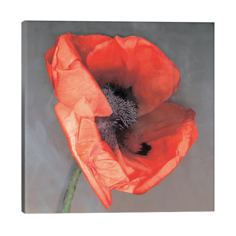 Erin Clark - Wrapped Canvas Print, 66.04 cm H x 66.04 cm W x 3.175 cm D
