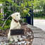 Statue de jardin Welcome Don't Stop Retriever