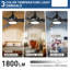 Ceiling Fan with LED Lights