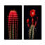 Cactus rouge et noir marron monolithe - ensemble de 2 reproductions d'art mural cactus-766943081-766943085
