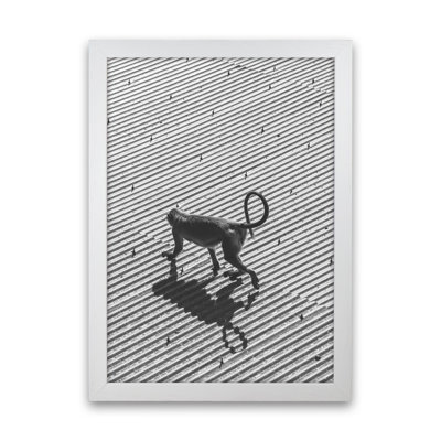 Monkey Buisness 1 Piece Wall Art