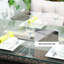 Cambry 7 - Person Patio Conversation Set with Cushions